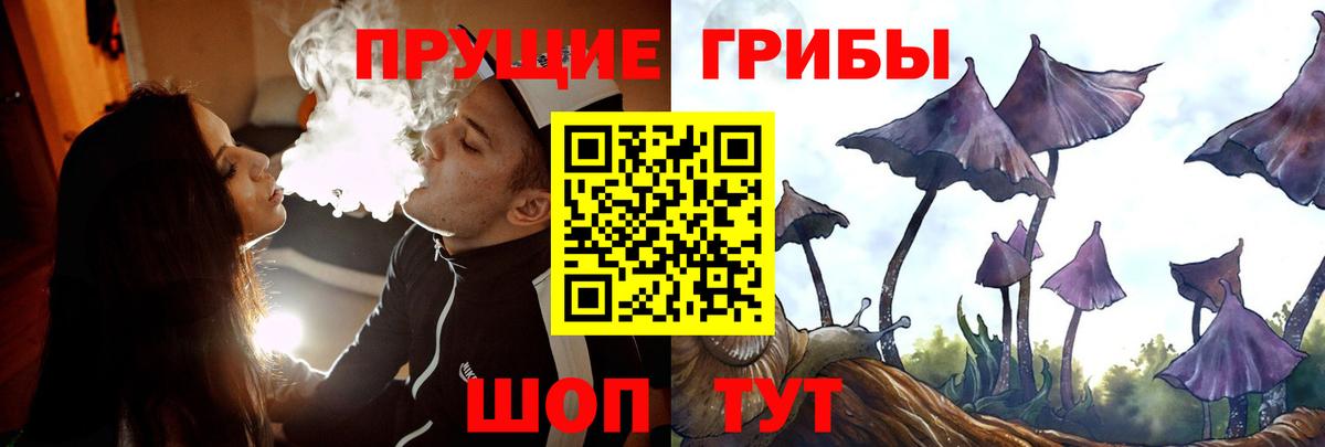 как найти закладки  Вход с VPN  Новосибирск  Псилоцибиновые грибы мухоморы 